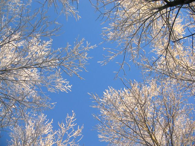 winter 2007